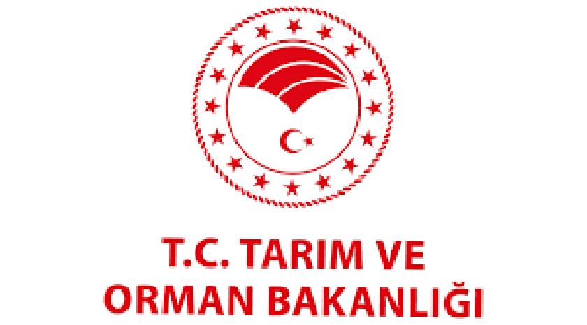 IHRACAT BAŞVURUSUNDA BULUNULMUŞ VE GÜMRÜK BEYANNAMESI AÇILMIŞ